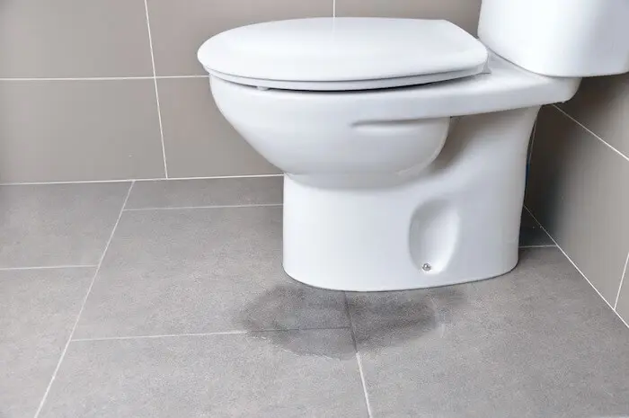 Leaking toilet repair plumbing services