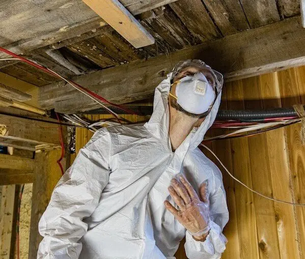 Attic inspection mold removal services