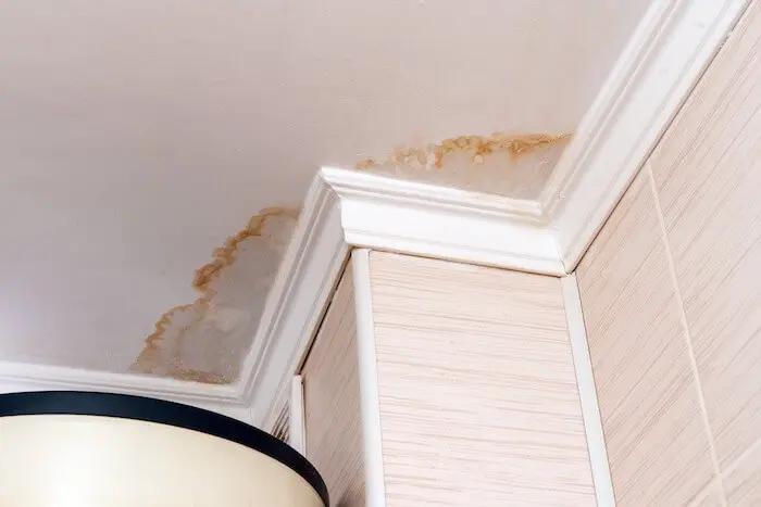 Ceiling water damage repair services