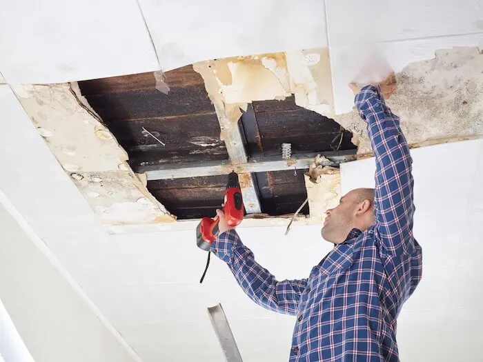 Ceiling repair and maintenance service