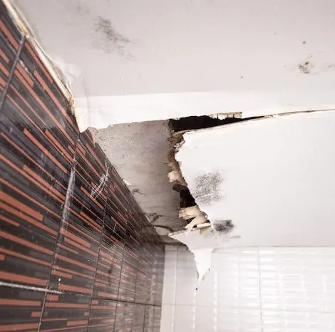 Ceiling water damage repair service