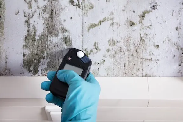 Mold testing and inspection services