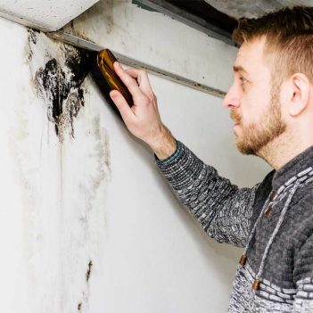 A man inspects and cleans black mold growing on a white wall near the ceiling with a brush