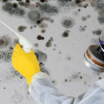 A person in protective gear sprays cleaning solution on a mold-covered wall