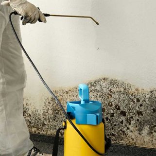 A person in protective gear uses a spray applicator to treat a mold-infested wall