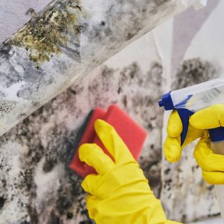 A person wearing yellow gloves scrubs mold off a wall with a sponge and cleaning spray