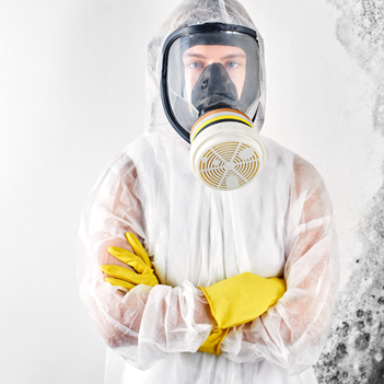 mold remediation